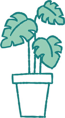 鉢植え