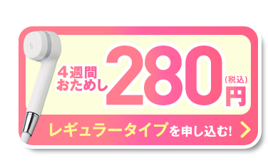 4週間おためし 280円(税込) レギュラータイプを申し込む!