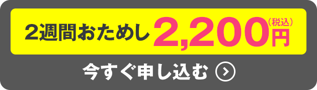 ロボットクリーナーSiRo+おそうじベーシック3（グレー）今すぐ申し込む