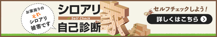 シロアリ自己診断 セルフチェックしよう！詳しくはこちら