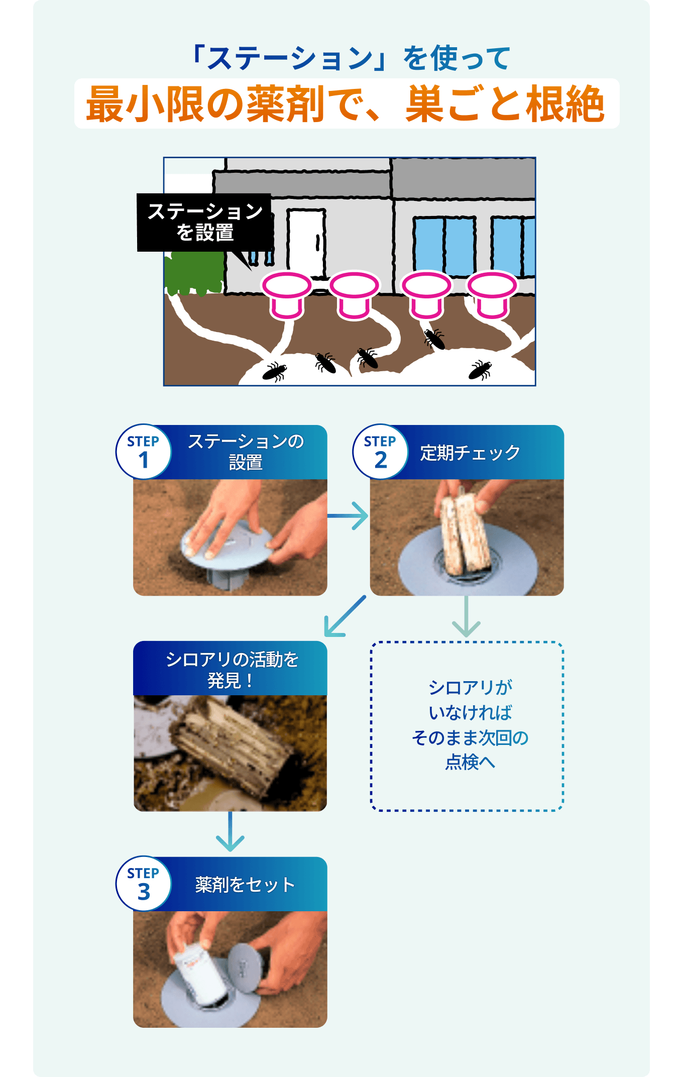 「ステーション」を使って最小限の薬剤で、巣ごと根絶