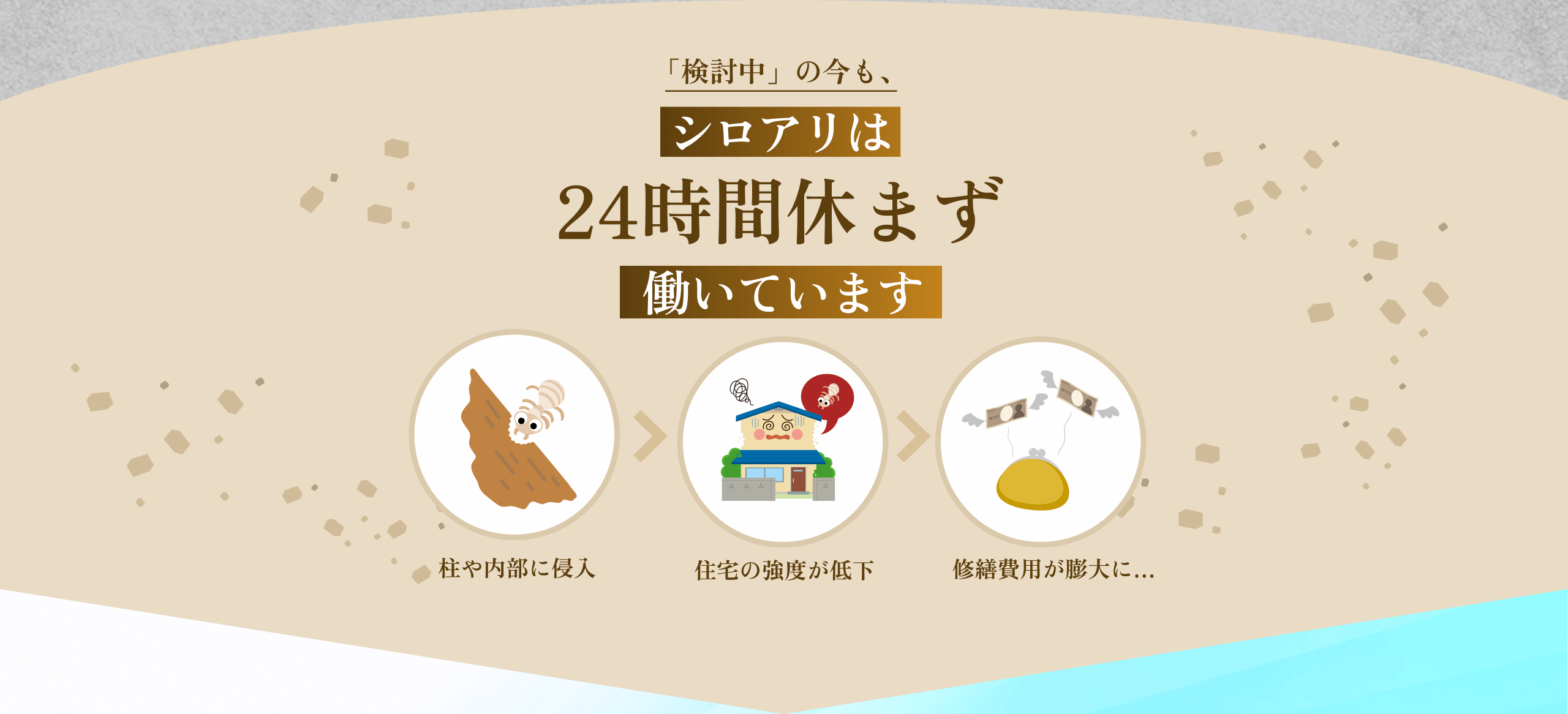 「検討中」の今も、シロアリは24時間休まず働いています