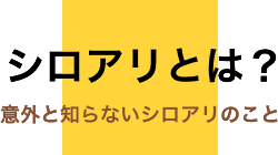 シロアリとは？意外と知らないシロアリのこと