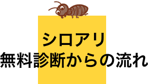 シロアリ 無料診断からの流れ