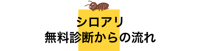 シロアリ 無料診断からの流れ