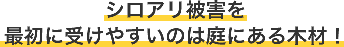 シロアリ被害を最初に受けやすいのは庭にある木材！