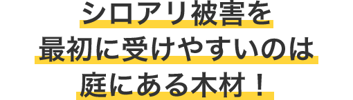 シロアリ被害を最初に受けやすいのは庭にある木材！