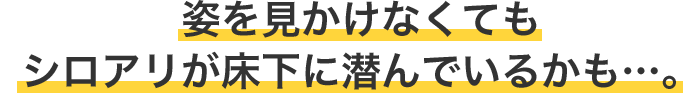 姿を見かけなくてもシロアリが床下に潜んでいるかも…。