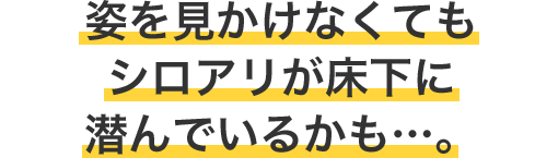 姿を見かけなくてもシロアリが床下に潜んでいるかも…。