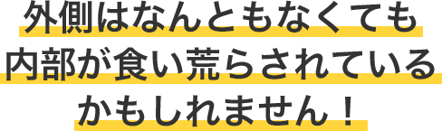 外側はなんともなくても内部が食い荒らされているかもしれません！