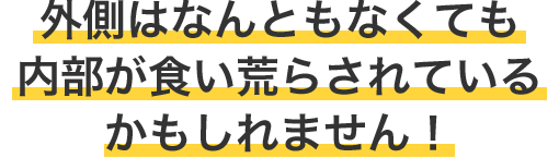 外側はなんともなくても内部が食い荒らされているかもしれません！