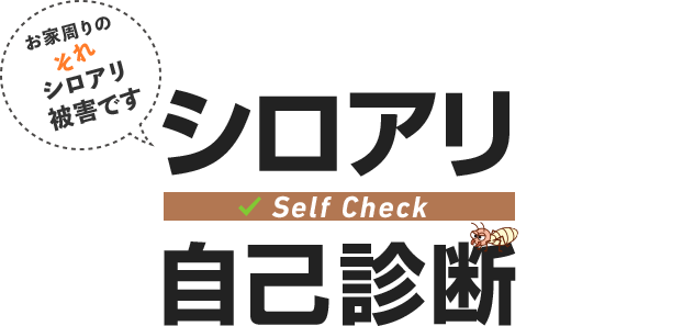 シロアリ自己診断 Self Check お家周りのそれシロアリ被害です