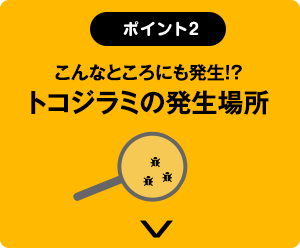 【ポイント2】こんなところにも発生!? トコジラミの発生場所