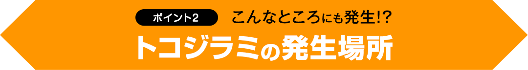 【ポイント2】こんなところにも発生!? トコジラミの発生場所