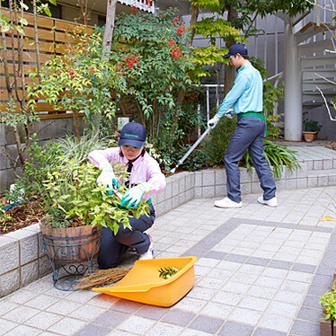 お庭をキレイにサービス 年6回定期サービス東京・千葉・神奈川以外
