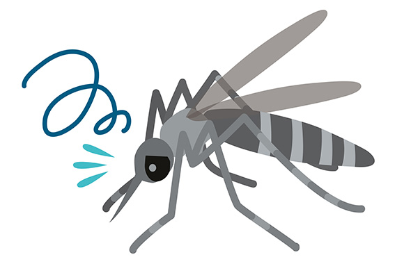 蚊対策 駆除の基本を解説 害虫獣駆除サービス お掃除サービスのダスキン