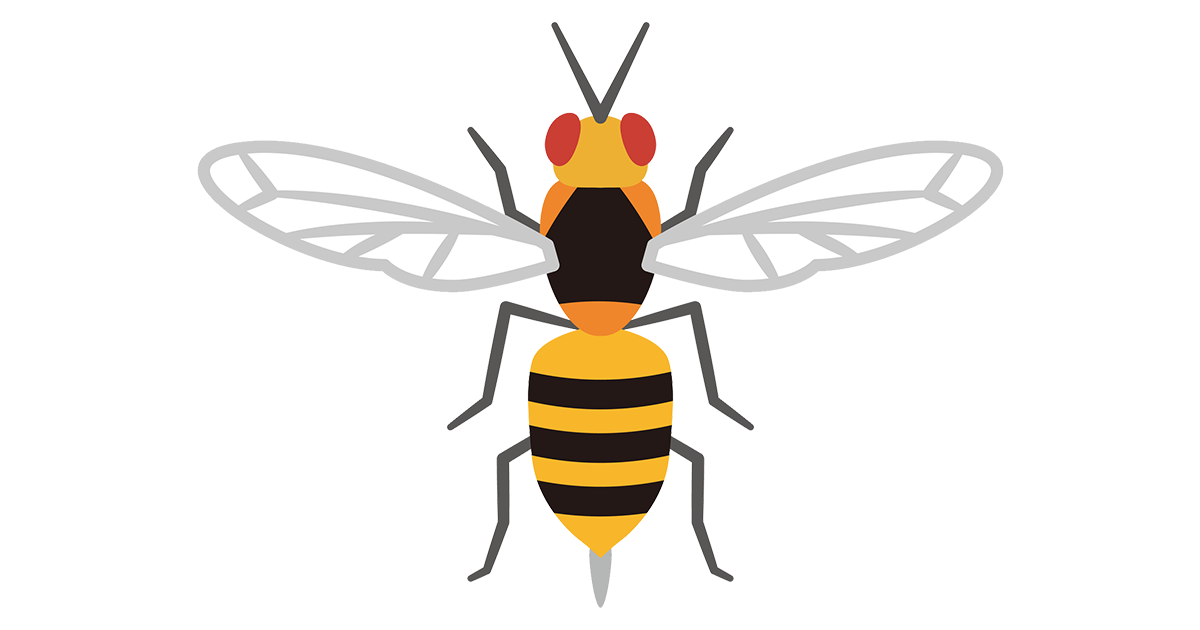 正しい対応をしよう 蜂 ハチ 駆除 対策の基本を解説 害虫獣駆除サービス お掃除サービスのダスキン