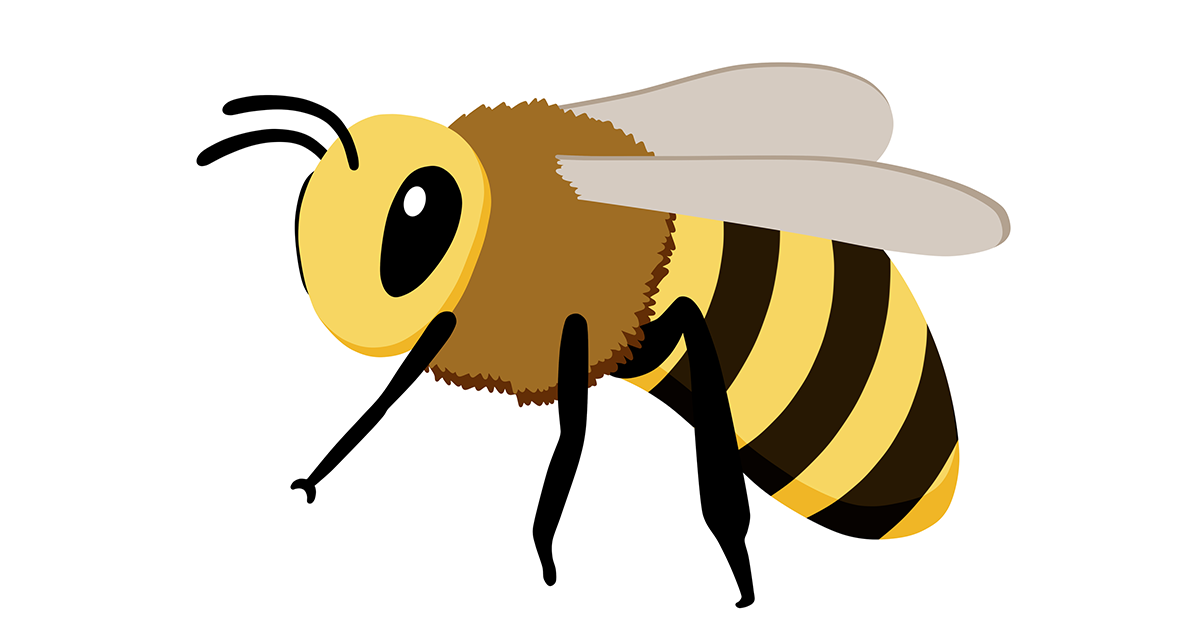 対策に役立つ＞蜂（ハチ）の種類別の特徴を紹介 | 害虫獣駆除サービス | お掃除サービスのダスキン