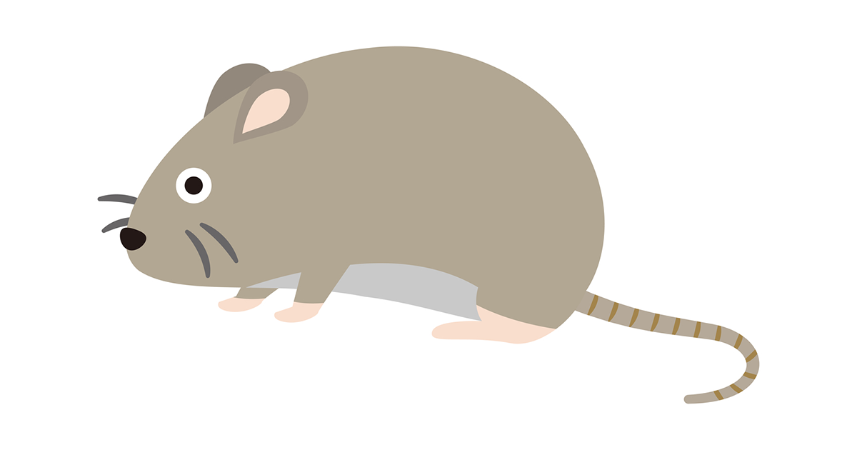 対策に役立つ ネズミの種類別の特徴を紹介 害虫獣駆除サービス お掃除サービスのダスキン