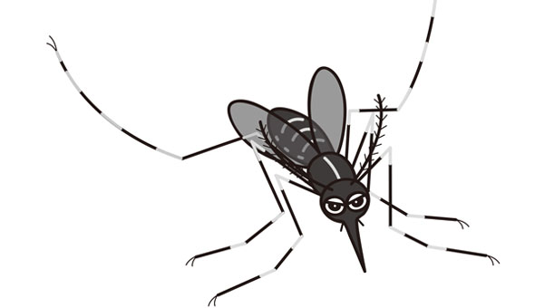 害虫獣駆除サービス お掃除サービスのダスキン