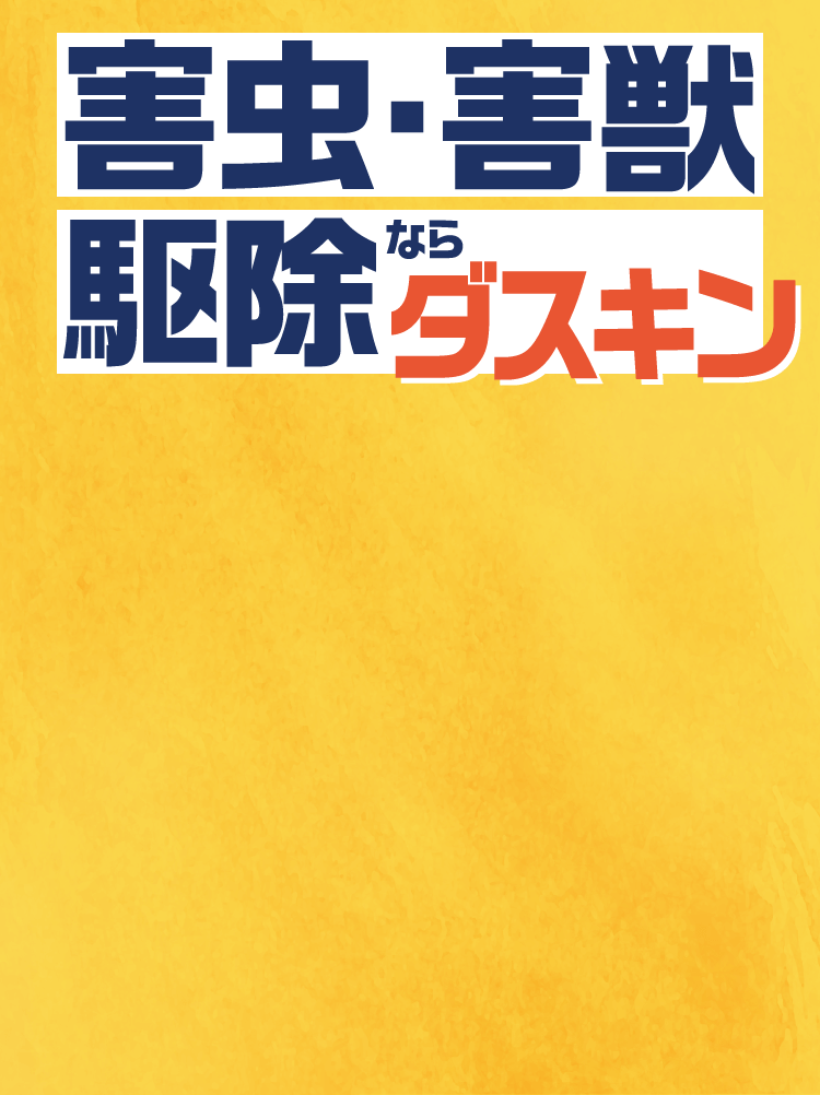 害虫・害獣駆除ならダスキン