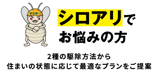 シロアリでお悩みの方