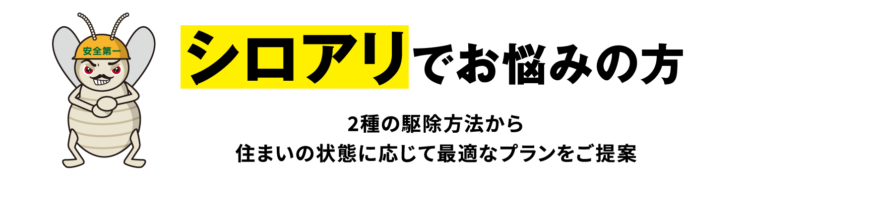 シロアリでお悩みの方
