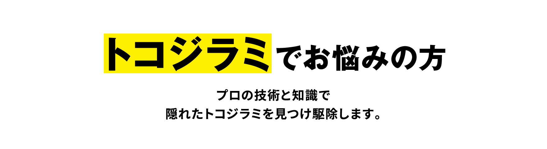 トコジラミでお悩みの方