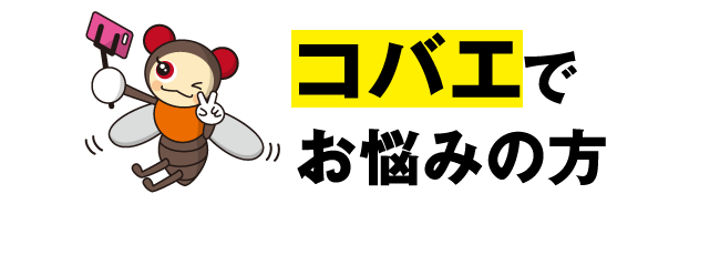 コバエでお悩みの方