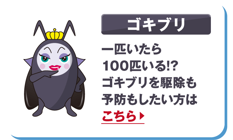 ゴキブリ
