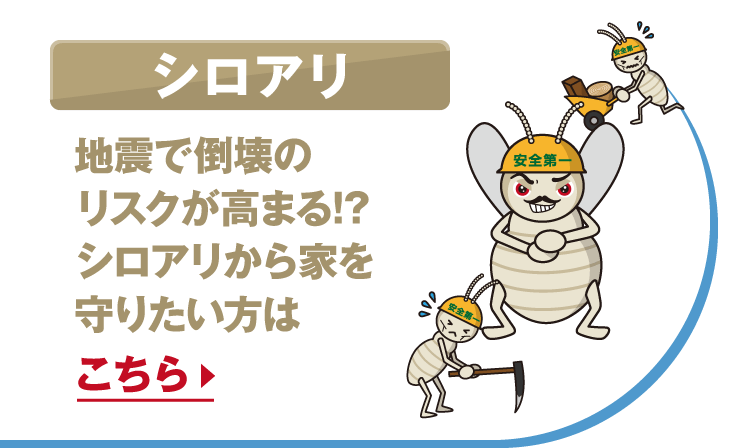 シロアリ
