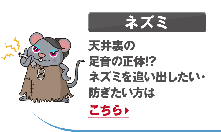 ネズミ