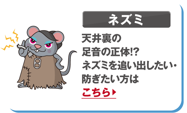 ネズミ