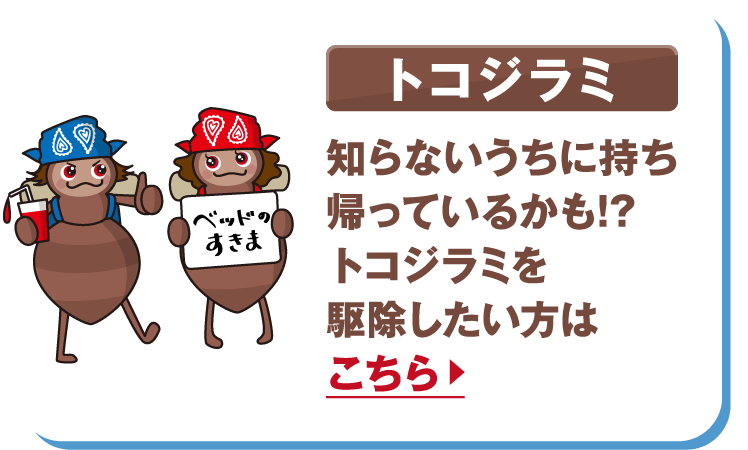 トコジラミ