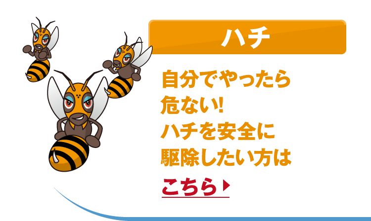 ハチ