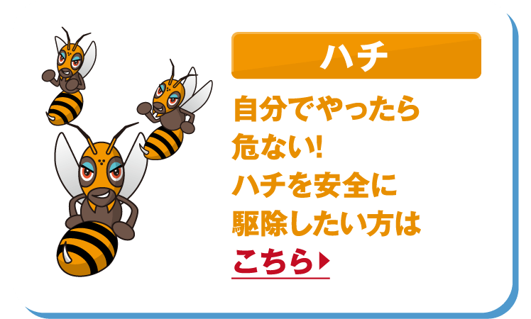 ハチ
