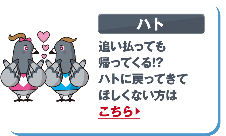 ハト