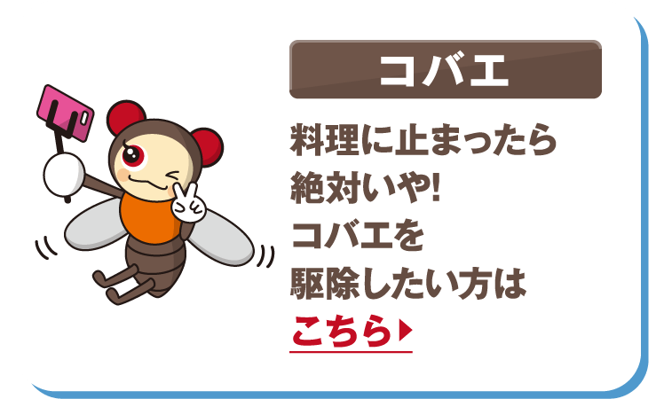 コバエ