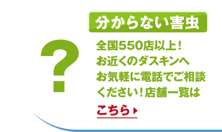 分からない害虫