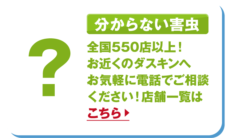 分からない害虫