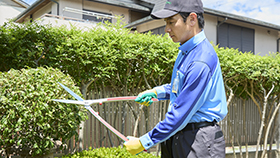 庭木の剪定