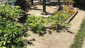 雑草が目立たないサービス