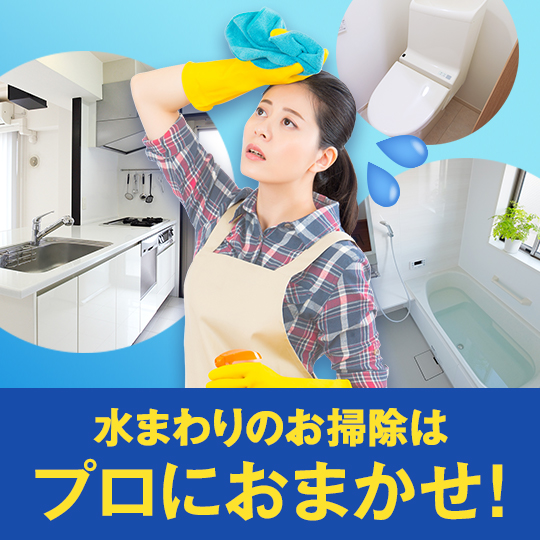 お掃除用品・お掃除サービスのダスキン | 株式会社ダスキン