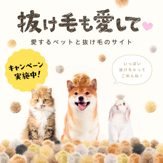 ペットと抜け毛の写真投稿キャンペーン