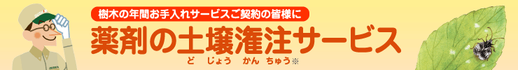 樹木の年間お手入れサービスご契約の皆様に 薬剤の土壌潅注サービス