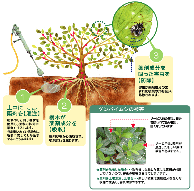 土壌潅注のしくみ